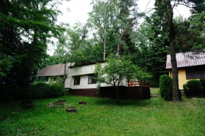 Domek letniskowy Ińsko (4-5 osób) in Insko